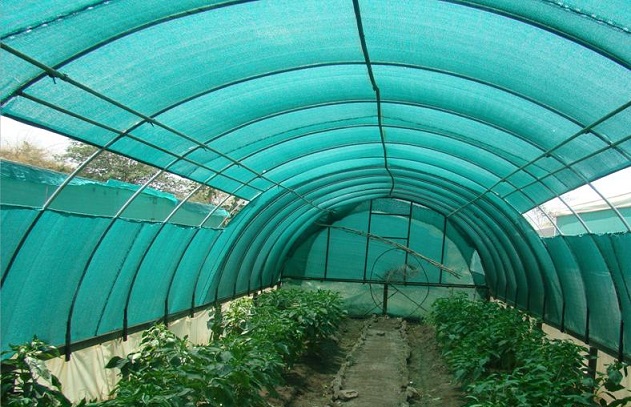 Shading net
